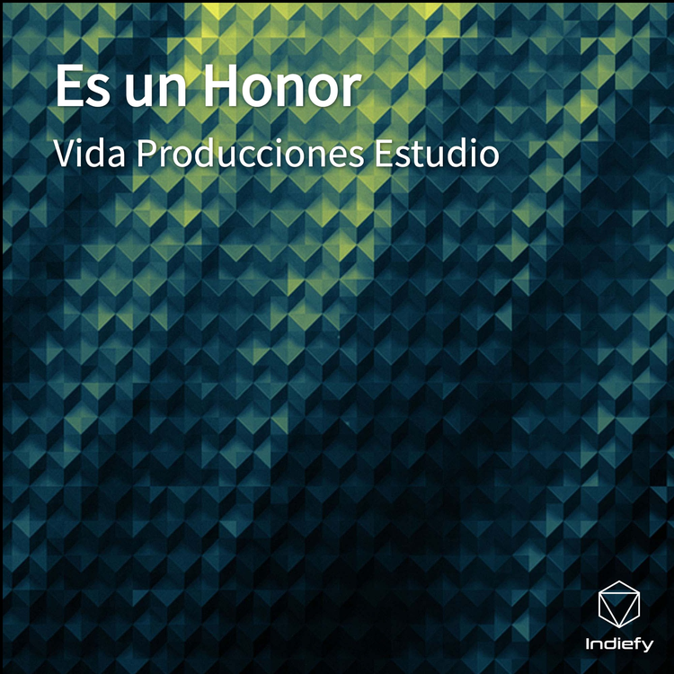 Vida Producciones Estudio's avatar image