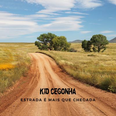 Kid Cegonha's cover