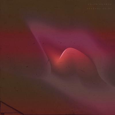 Sandstorm By Chris Shards's cover