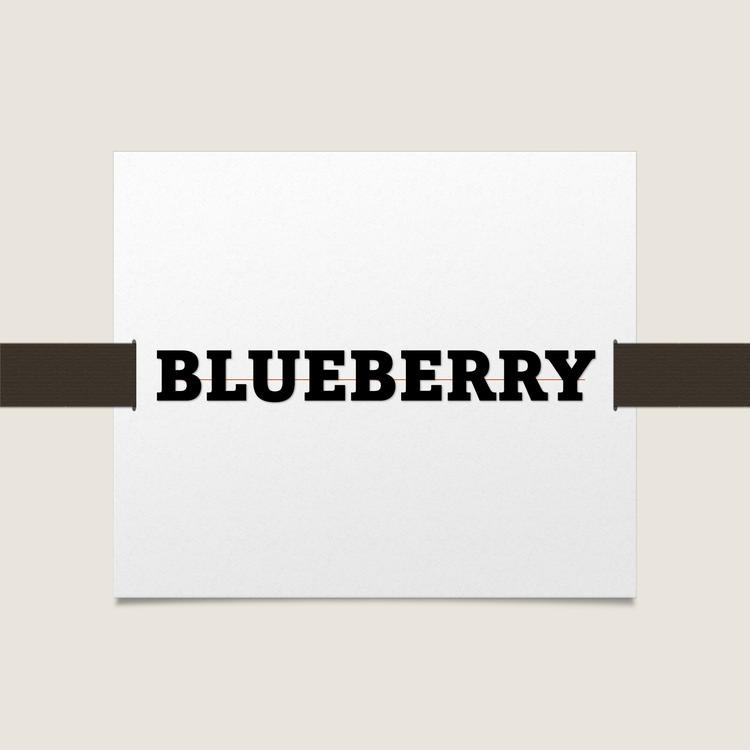 Blueberry's avatar image