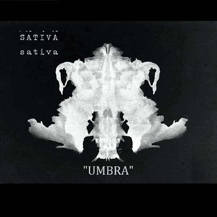 Sativa's avatar image