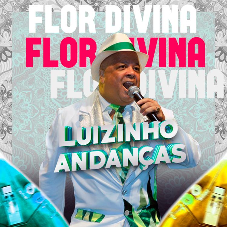 Luizinho Andanças's avatar image