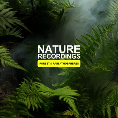 Nature Recordings - Forest & Rain Atmospheres's cover