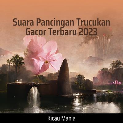 Suara Pancingan Trucukan Gacor Terbaru 2023's cover