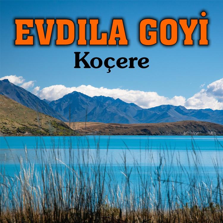 Evdıla Goyi's avatar image