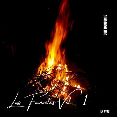 Las Favoritas, Vol. 1's cover