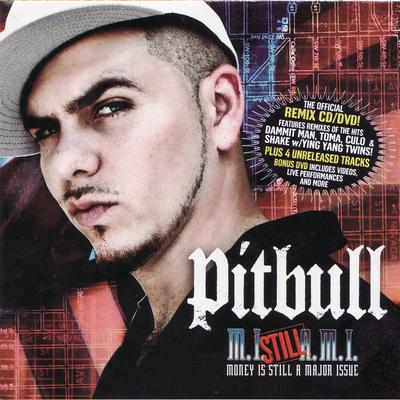 Turnin Me On Remix By Nina Sky, Pitbull's cover