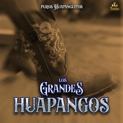 Los Grandes Huapangos's cover