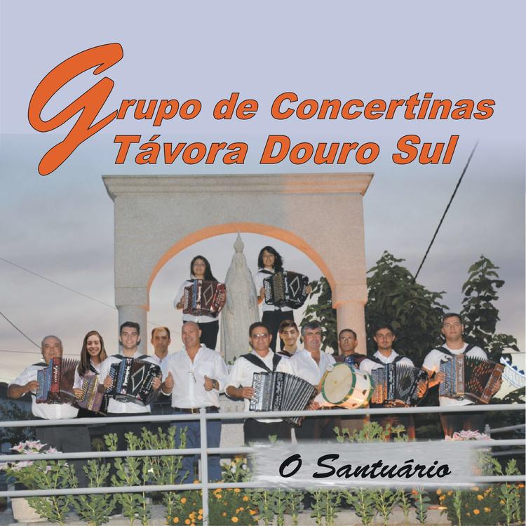 Grupo de Concertinas Távora Douro Sul's avatar image