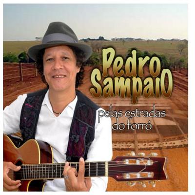 Petrolina / Juazeiro By Pedro Sampaio's cover