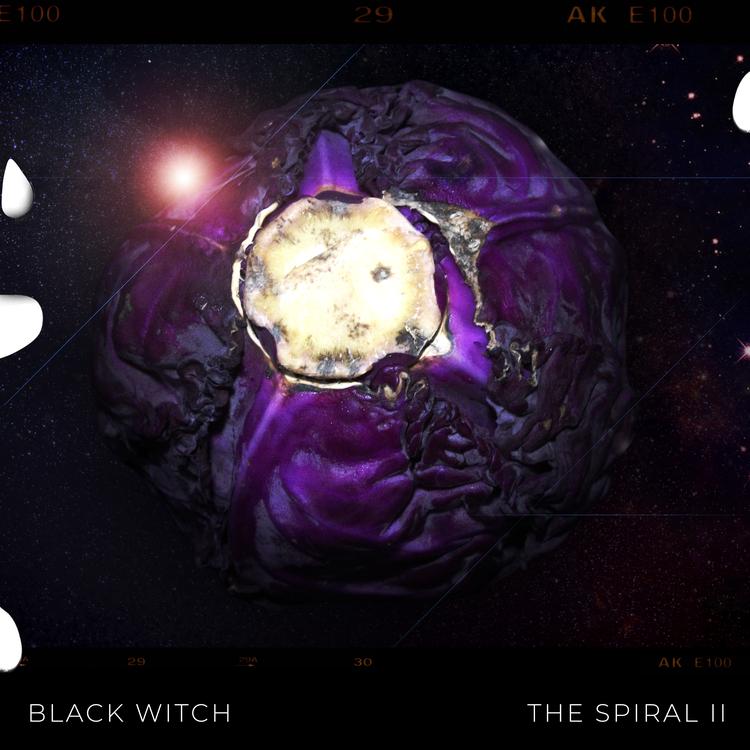 BlackWitch's avatar image