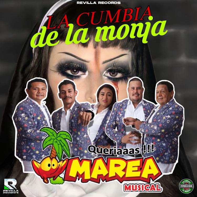 Grupo Marea Musical's avatar image