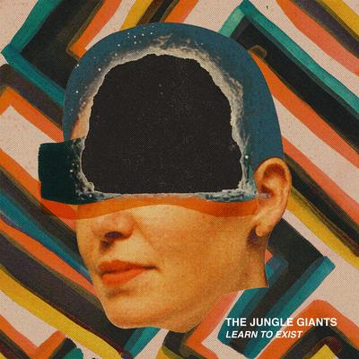 Skin to Bone By The Jungle Giants's cover