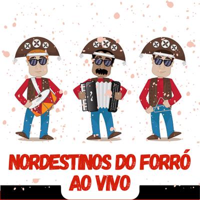 Vem morena - NORDESTINOS DO FORRÓ By Nordestinos do Forró's cover