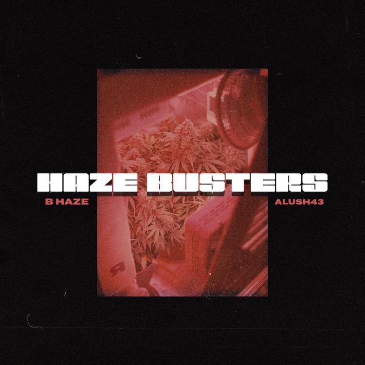 B.Haze's avatar image