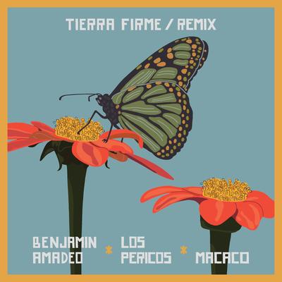 Tierra Firme Remix's cover