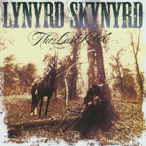 Lynyrd Skynyrd's cover