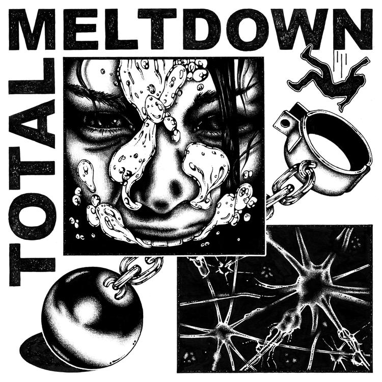 Total Meltdown's avatar image