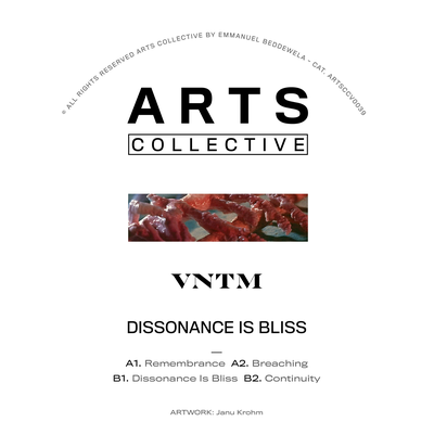 Dissonance Is Bliss By VNTM's cover