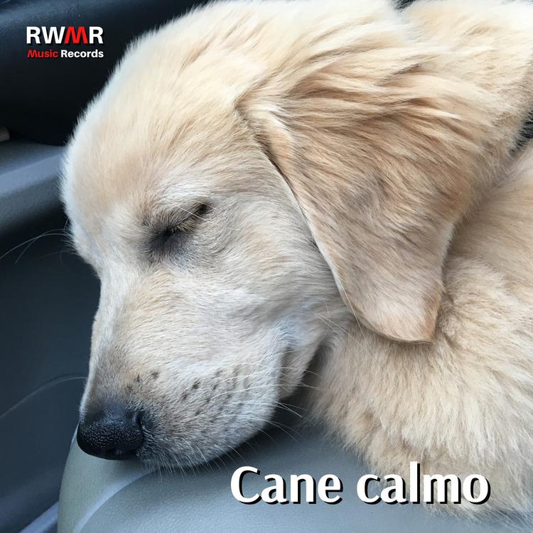 RW Suoni rilassanti per cani's avatar image