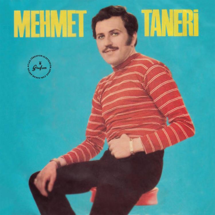 Mehmet Taneri's avatar image