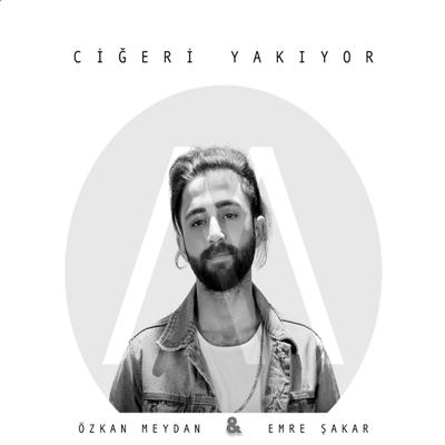 Ciğeri Yakıyor's cover