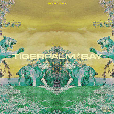 Soul Wax By Tigerpalm*Bay's cover