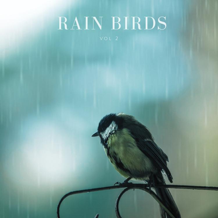 Rain Birds's avatar image