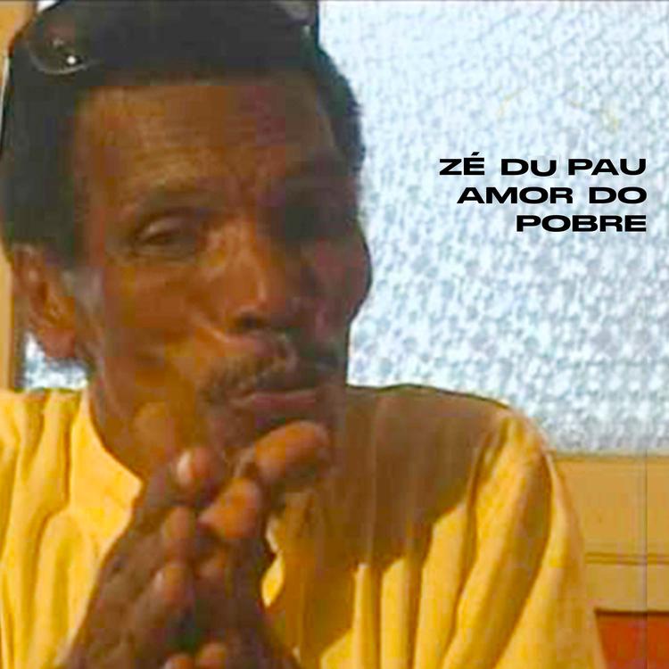 Zé Du Pau's avatar image