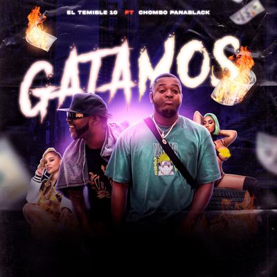 Gatamos's cover