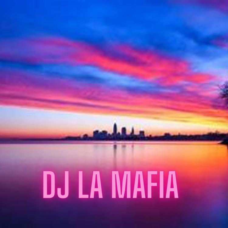 dj la mafia's avatar image