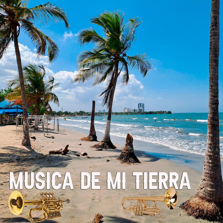 MUSICA DE MI TIERRA's avatar image