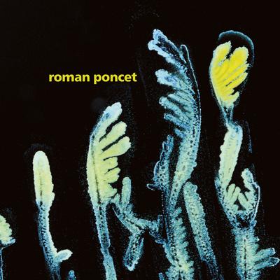 For Once We Saw The Light By Roman Poncet's cover