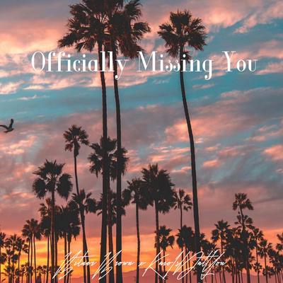 Officially Missing You (Remix)'s cover