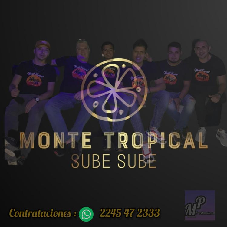 monte tropical's avatar image