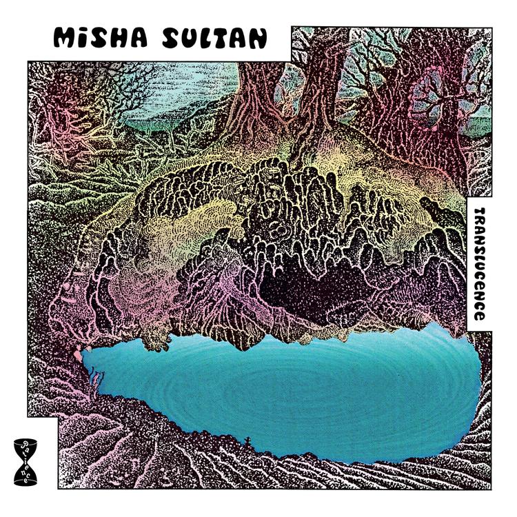 Misha Sultan's avatar image