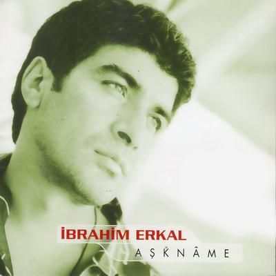 Aşkname's cover