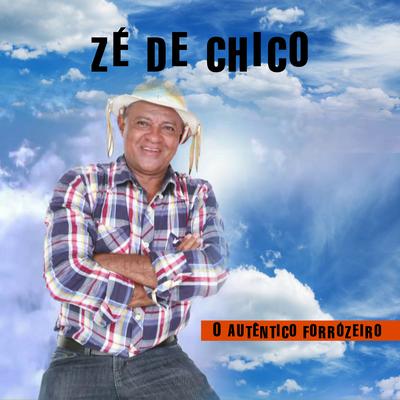 O Autêntico Forrózeiro's cover