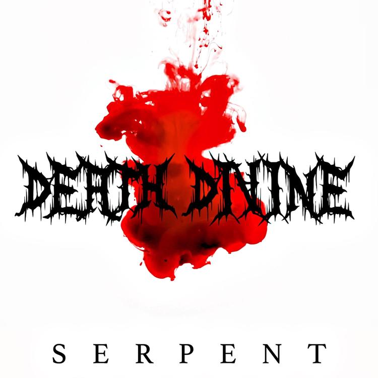 Death Divine's avatar image