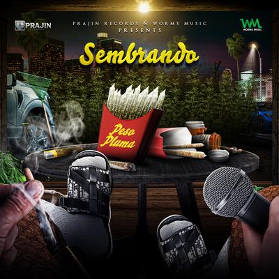 Sembrando By Peso Pluma's cover