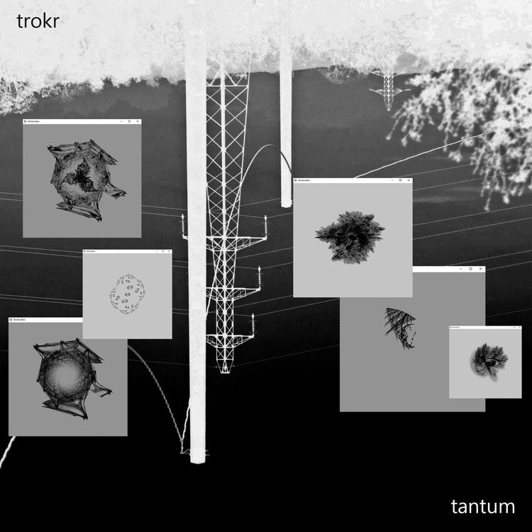 Trokr's avatar image