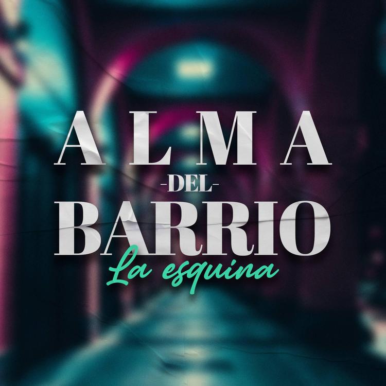 Alma Del Barrio's avatar image