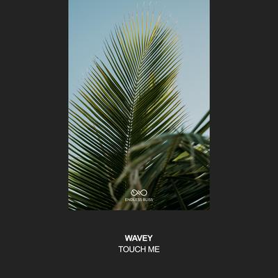 Touch Me By Wavey's cover