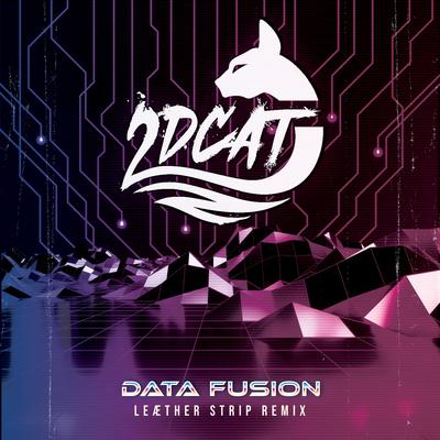 Data Fusion By 2DCAT, HAEZL's cover