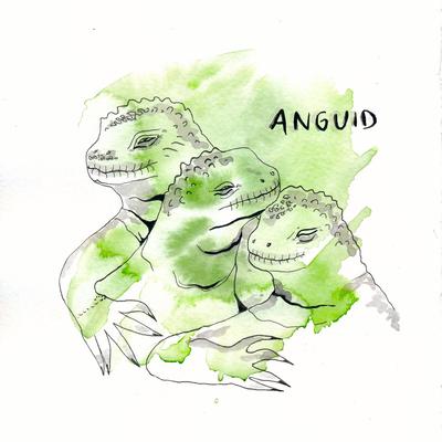 Anguid's cover