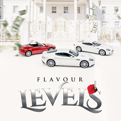 Levels's cover