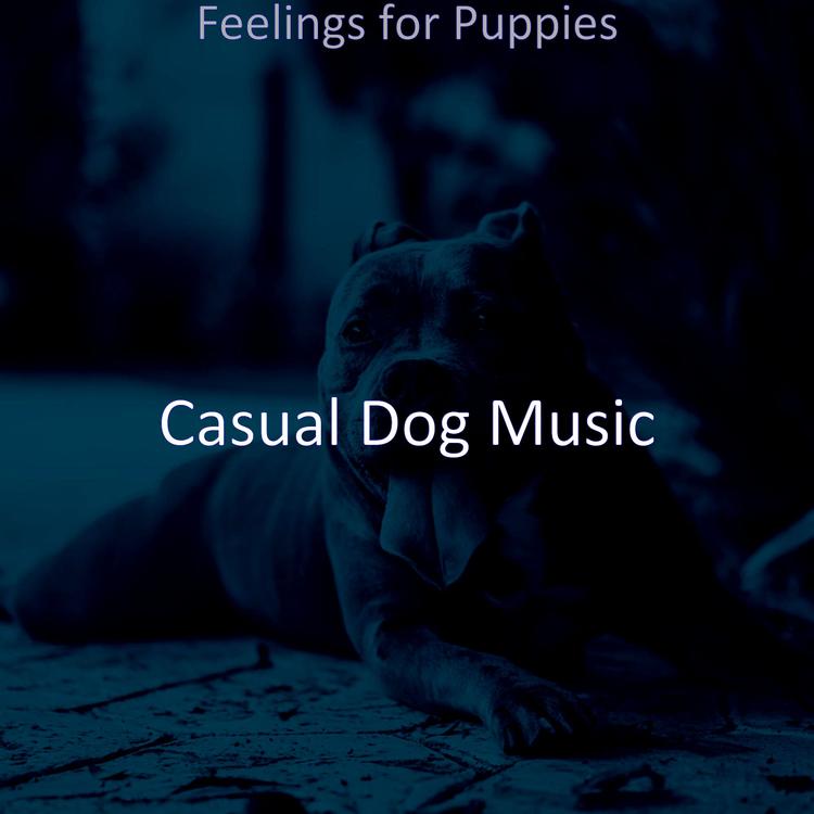 Casual Dog Music's avatar image