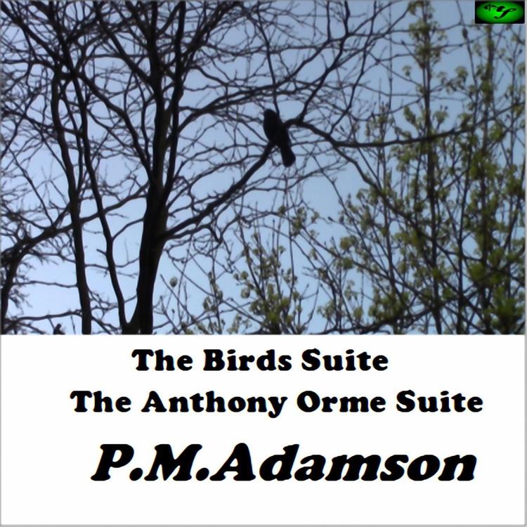 P.M.Adamson's avatar image