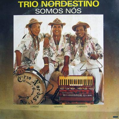 Naquele Sao Joao - Brincadeira na Fogueira - E Madrugada By Trio Nordestino's cover