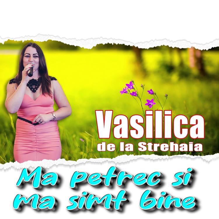 VASILICA DE LA STREHAIA's avatar image